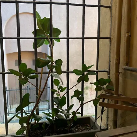 Casacau Apartment Rome Exterior photo